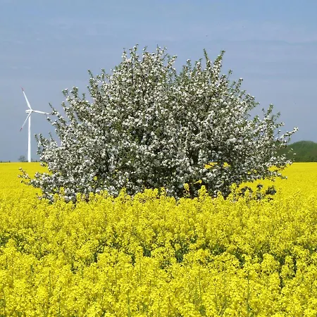 Apartementhaeuser Marlene & Olivia Juliusruh